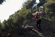 59 In salita al Pizzo Rabbioso tra pini mughi ad alto fusto